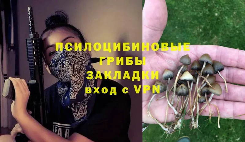 Галлюциногенные грибы MAGIC MUSHROOMS  Домодедово 